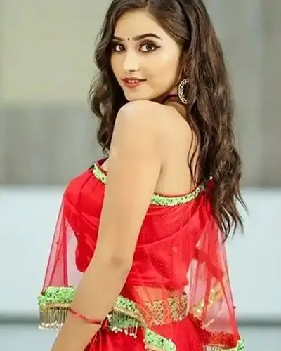 Call Girls Service Rayadurgam